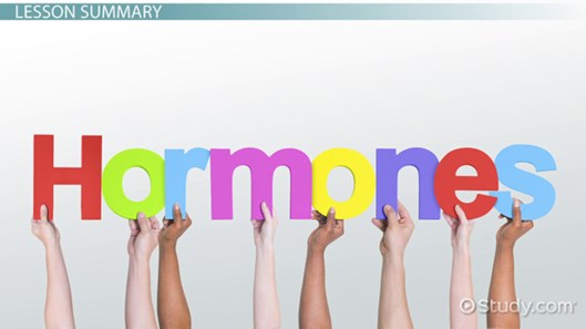 hormones